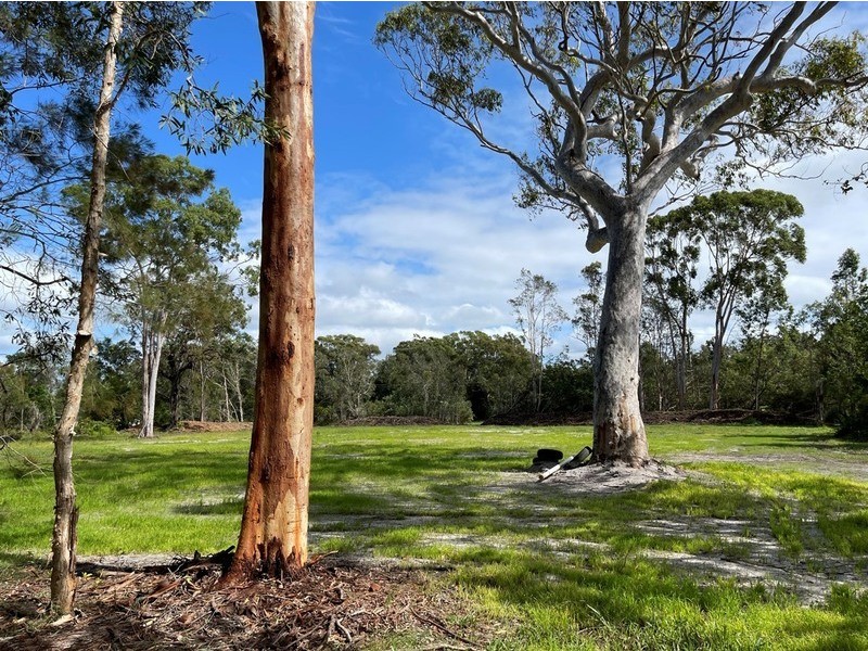 164 Eumarella Road, Weyba Downs QLD 4562