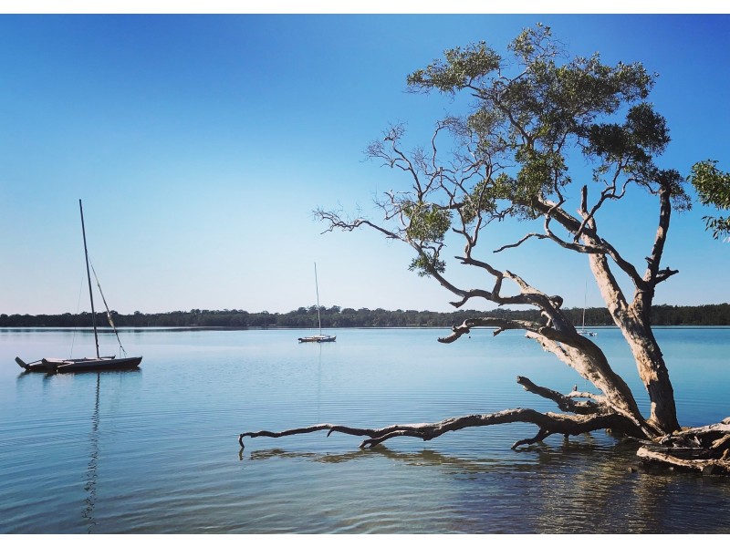 164 Eumarella Road, Weyba Downs QLD 4562