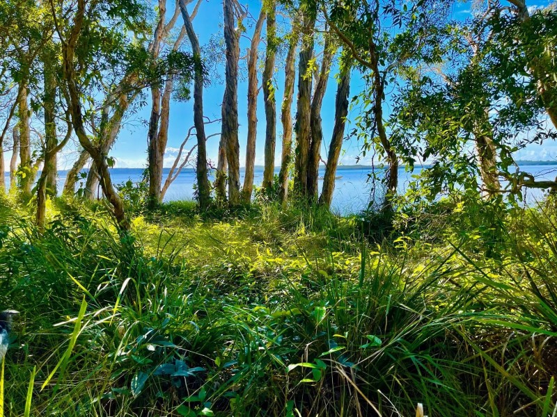 164 Eumarella Road, Weyba Downs QLD 4562