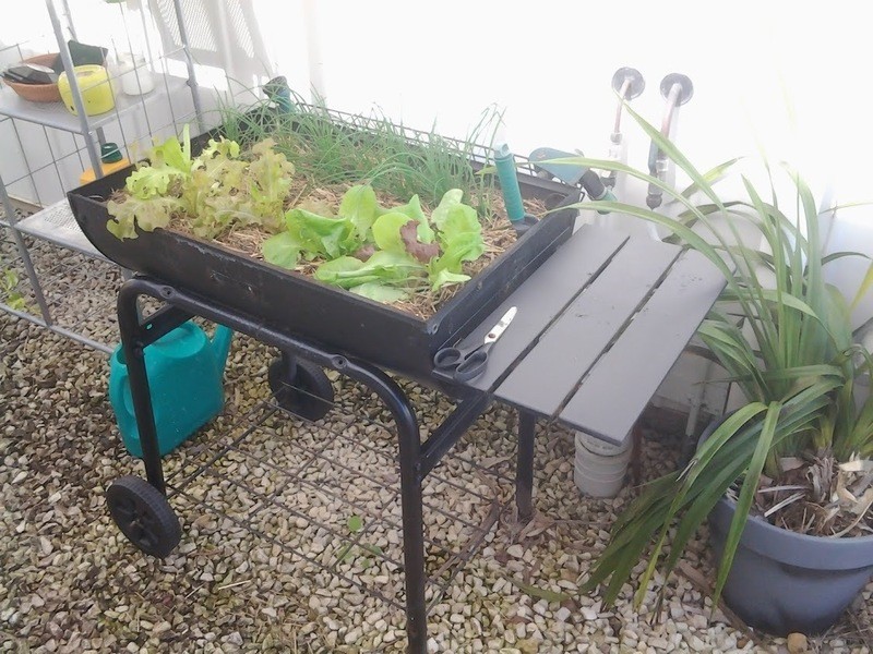 746 East Deep Creek Road, Cedar Pocket QLD 4570