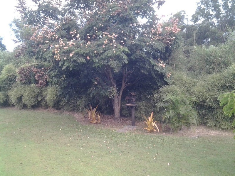 746 East Deep Creek Road, Cedar Pocket QLD 4570