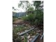 Lot 199 The Esplanade, Reno Bay, Cape Upstart, Guthalungra QLD 4805
