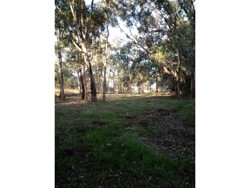 812 Mount Russell Road, Inverell NSW 2360