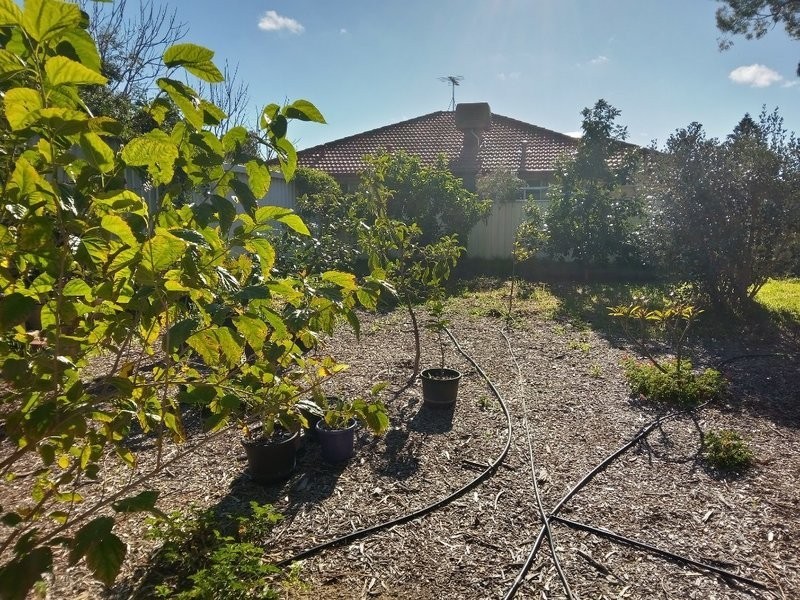 26 Nesbit road, Greenfields WA 6210