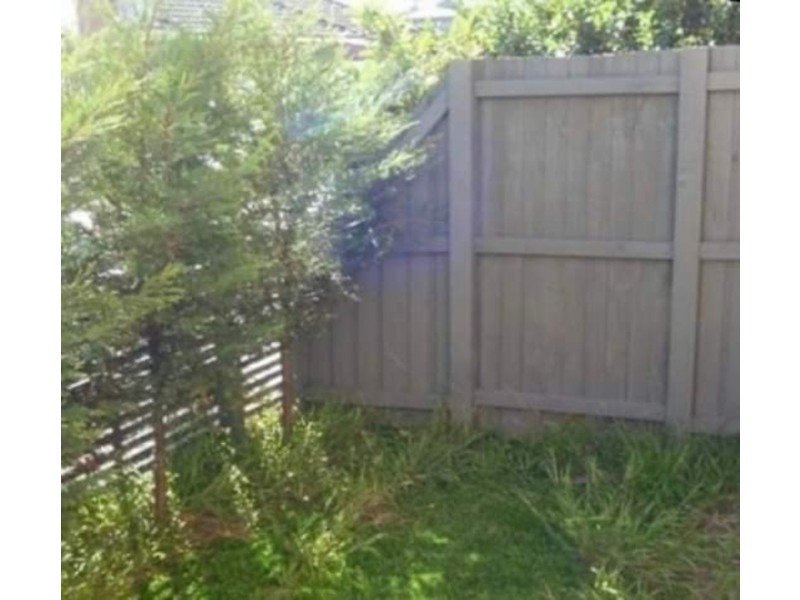 3/72 Plowman street, Bondi Beach NSW 2026