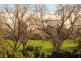 37 Macgregor St, Malvern East VIC 3145