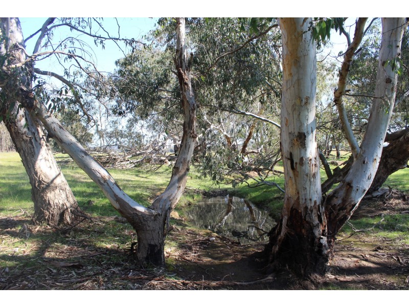 295 Rodborough Road, Majorca VIC 3465