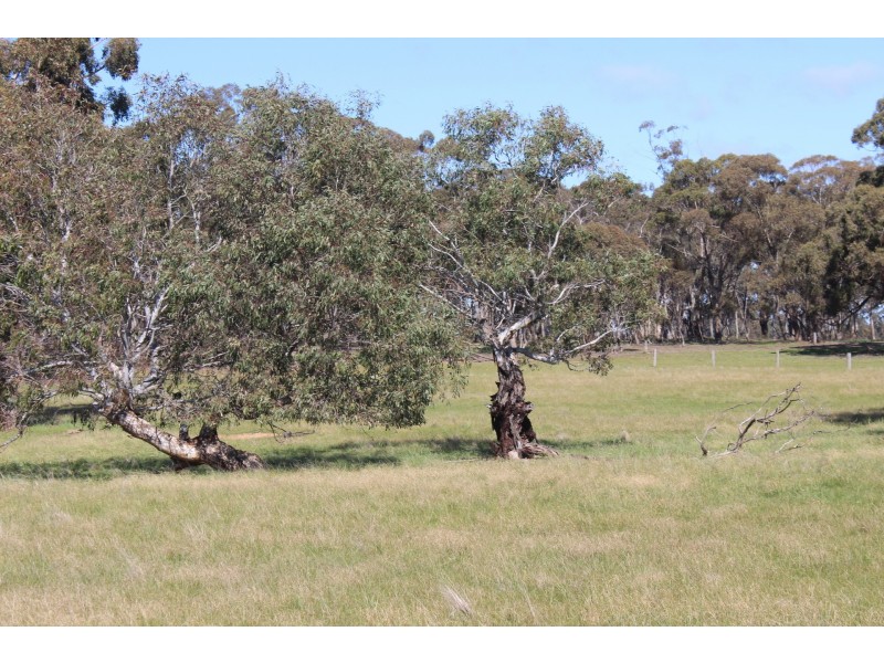 295 Rodborough Road, Majorca VIC 3465