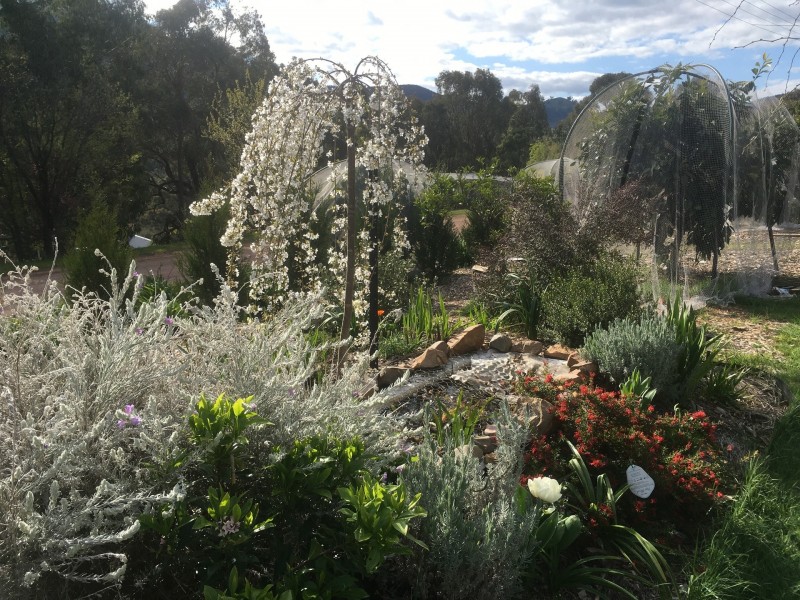 13 Trout Stream Way, Macs Cove VIC 3723