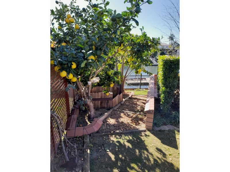 14 Keel Street, Birkdale QLD 4159