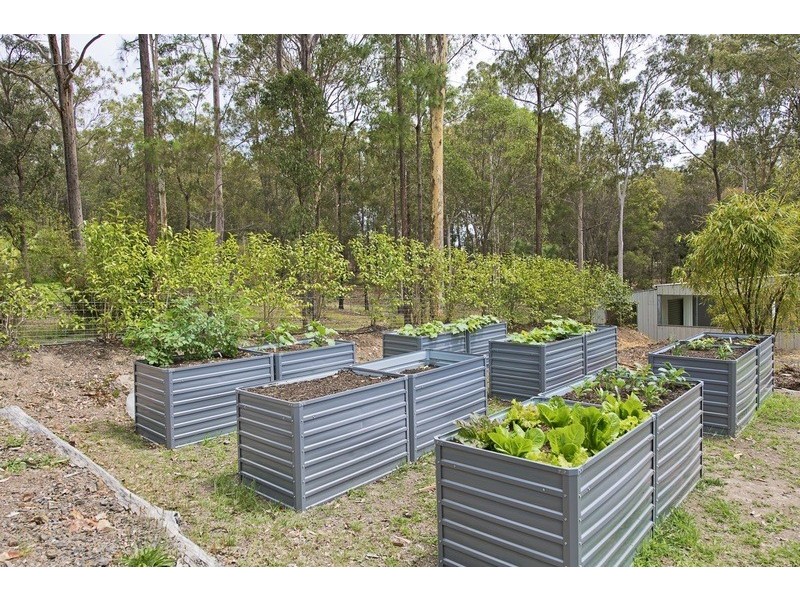 399 Gowings Hill Road, Dondingalong NSW 2440