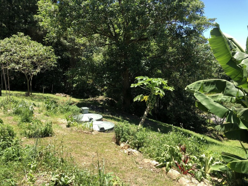 Currumbin Valley QLD 4223