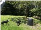 Currumbin Valley QLD 4223