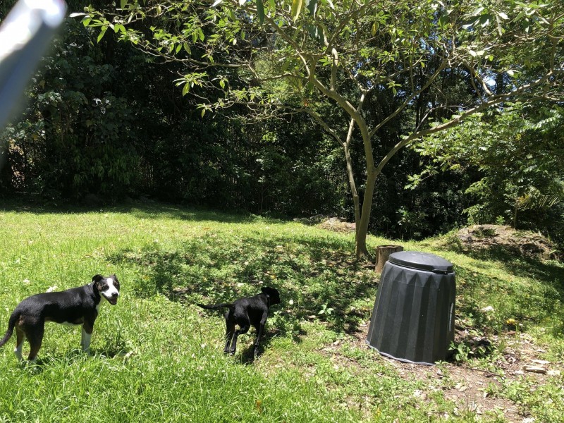 Currumbin Valley QLD 4223