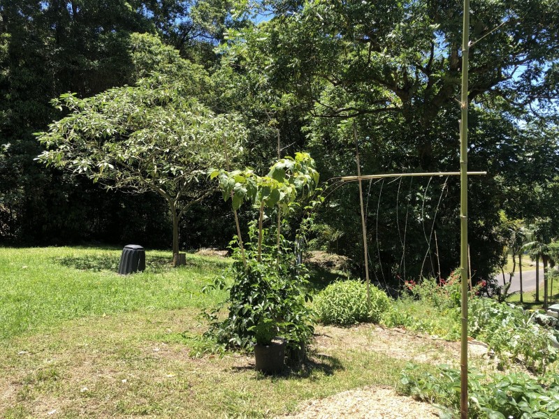 Currumbin Valley QLD 4223