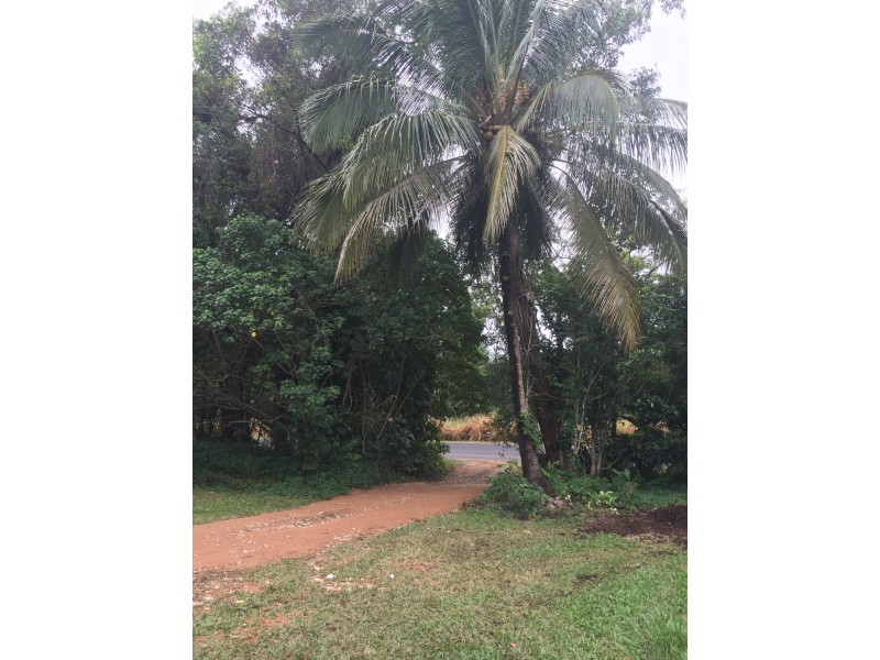 488 Bingil Bay Road, Bingil Bay QLD 4852