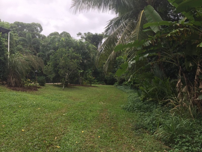 488 Bingil Bay Road, Bingil Bay QLD 4852