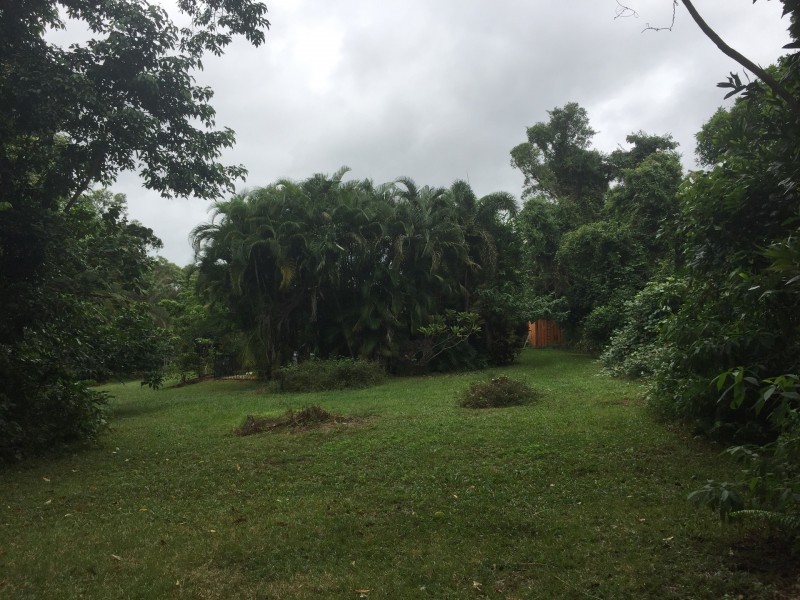 488 Bingil Bay Road, Bingil Bay QLD 4852