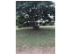 1146 Munbilla Road, Milora QLD 4309