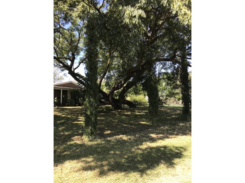 1146 Munbilla Road, Milora QLD 4309