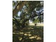 1146 Munbilla Road, Milora QLD 4309