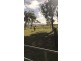 1146 Munbilla Road, Milora QLD 4309