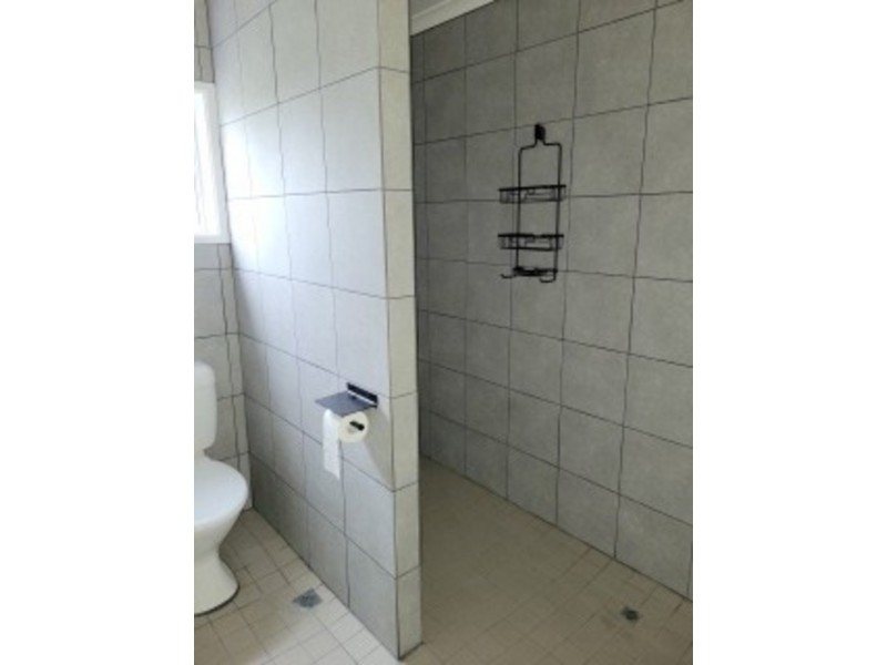 18 wood street, Mount Chalmers QLD 4702