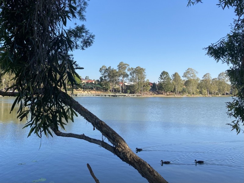 63 Leichhardt Circuit, Forest Lake QLD 4078