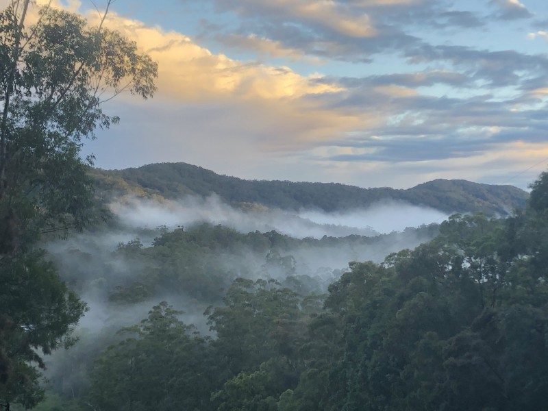 178 Boggy Creek Road, Bellingen NSW 2454