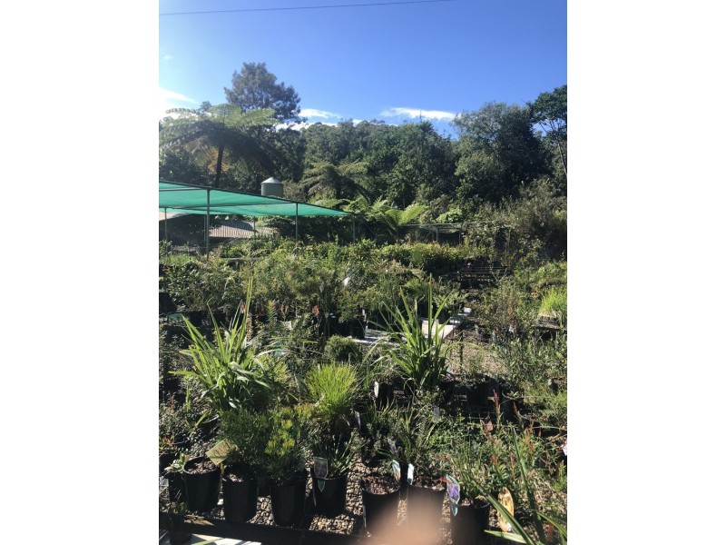 178 Boggy Creek Road, Bellingen NSW 2454