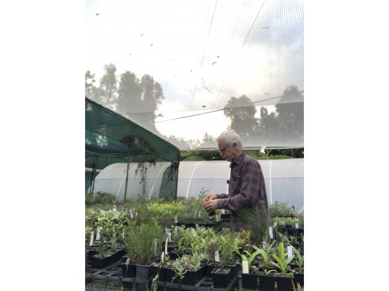 178 Boggy Creek Road, Bellingen NSW 2454