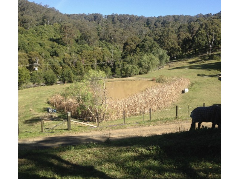 184 Cummins Road, Menangle NSW 2568