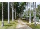 77 Veivers Drive, Speewah QLD 4881