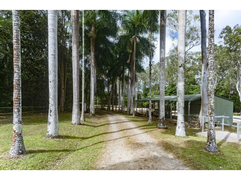 77 Veivers Drive, Speewah QLD 4881
