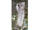 69 Broadacres Drive, Tannum Sands QLD 4680
