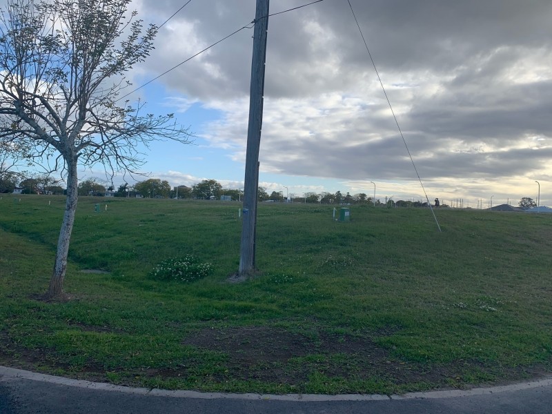 31 Earl Street, Grafton NSW 2460