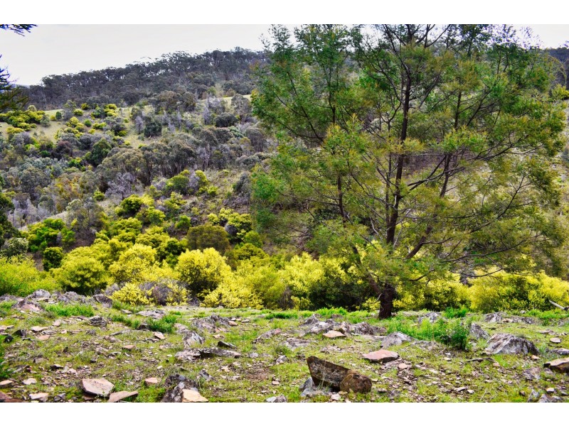 Glenpatrick VIC 3469