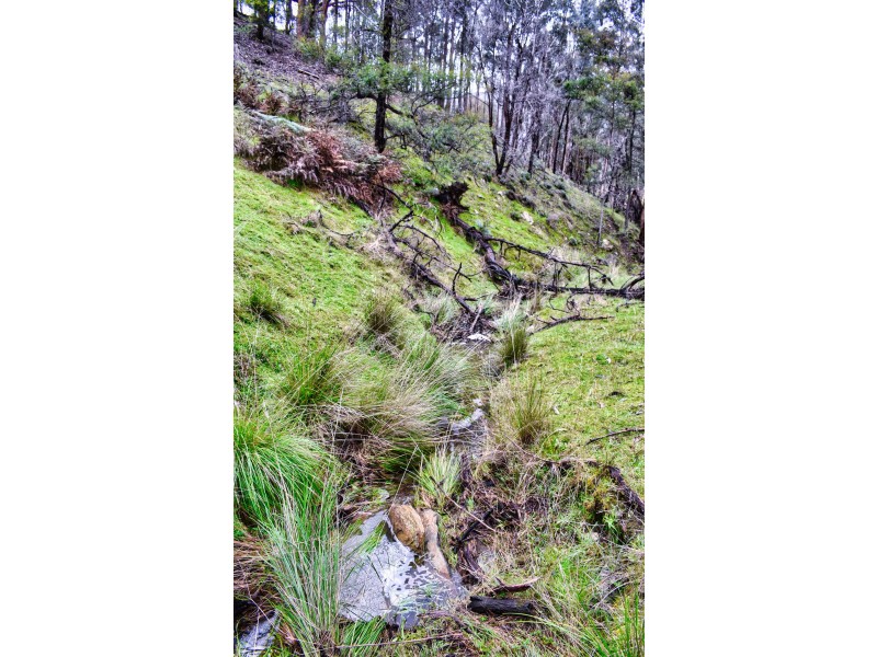 Glenpatrick VIC 3469