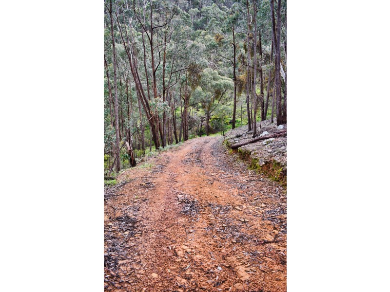 Glenpatrick VIC 3469