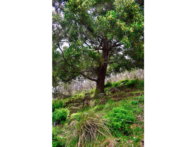 Glenpatrick VIC 3469