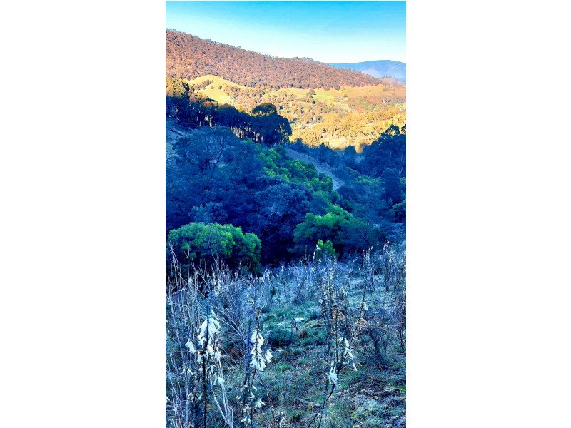 Glenpatrick VIC 3469