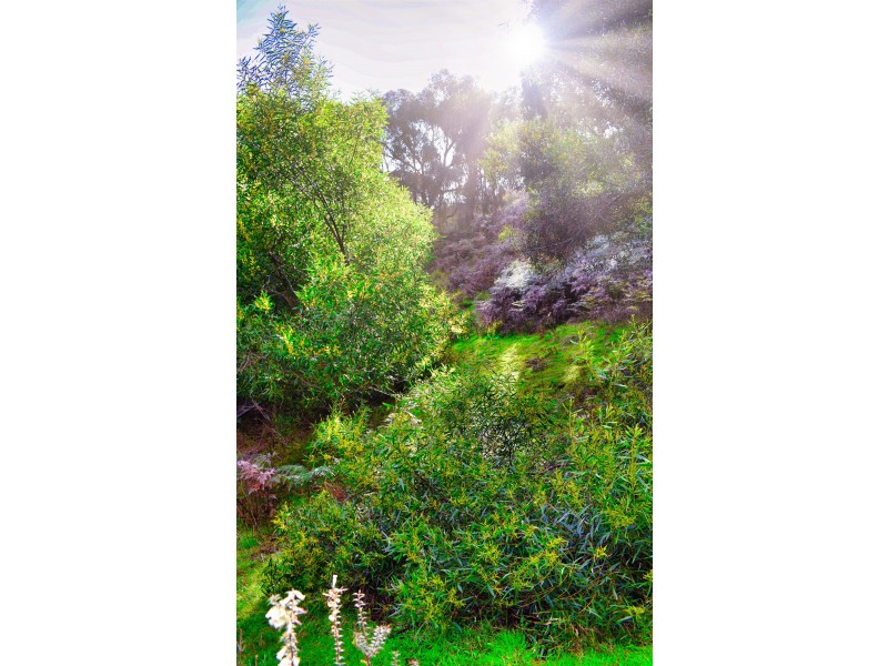 Glenpatrick VIC 3469