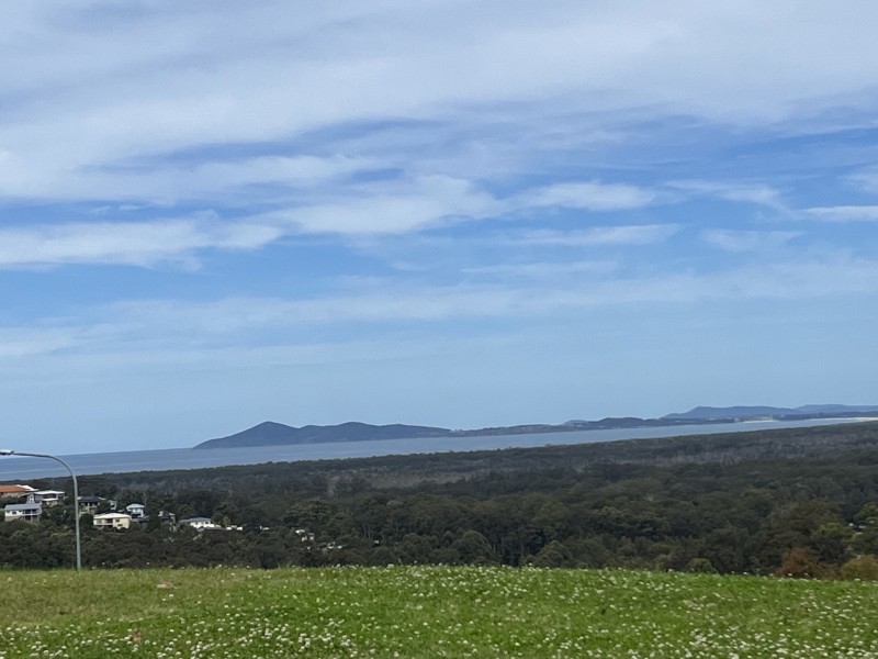 286 Tallwood Drive, Tallwoods Village NSW 2430