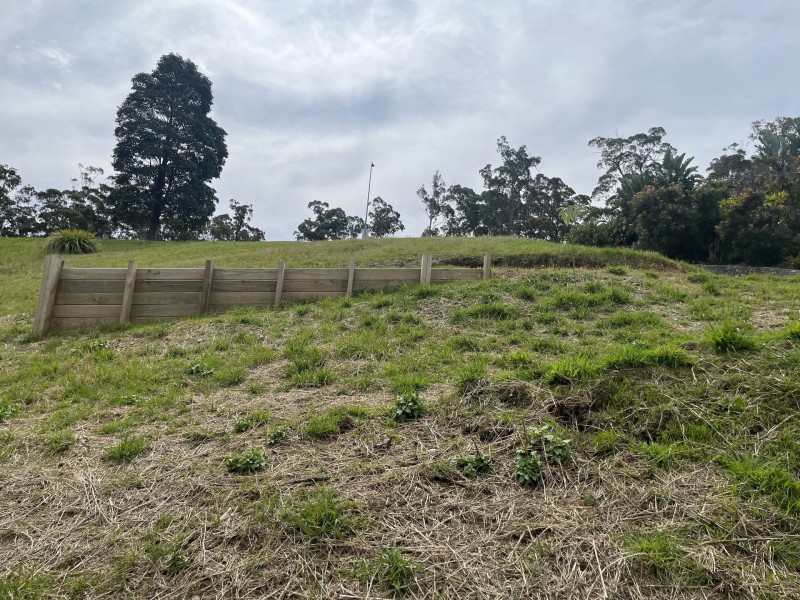 286 Tallwood Drive, Tallwoods Village NSW 2430