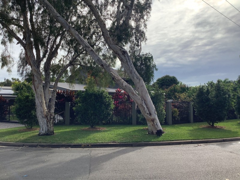 38 Wellesley Drive, Thuringowa Central QLD 4817