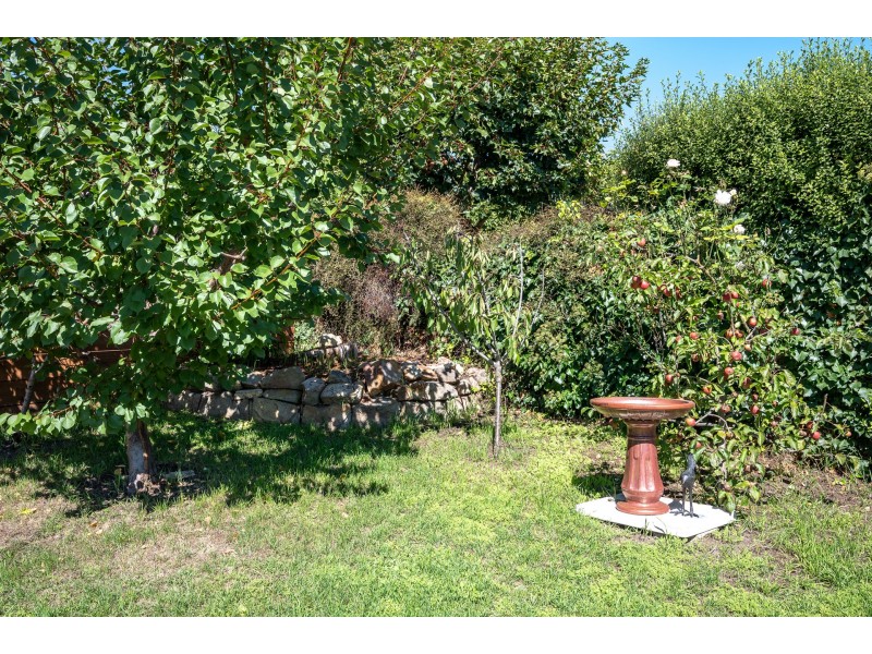 3 ILFRACOMBE CRESCENT, Sandy Bay TAS 7005