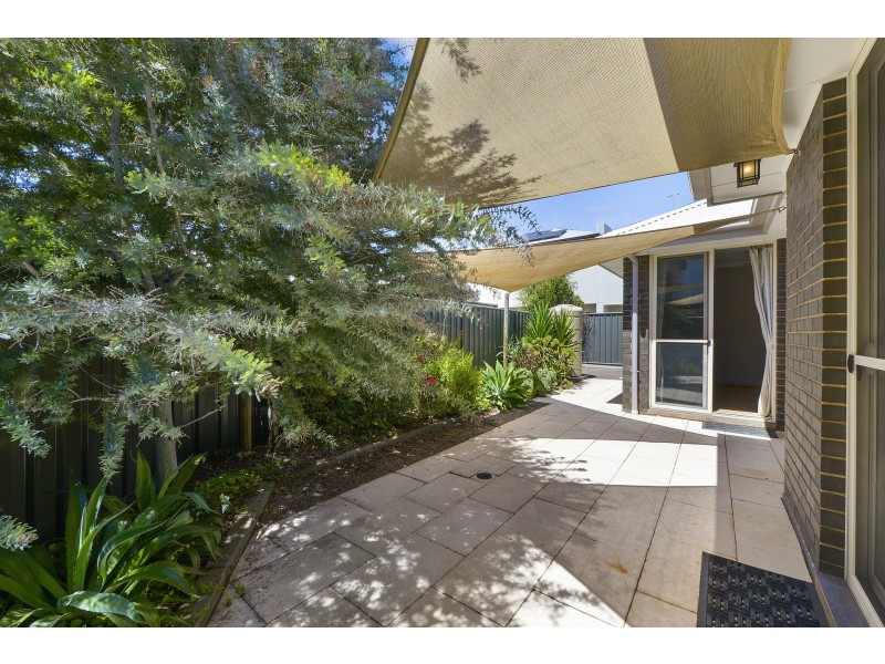 35 Daly Street, Kurralta Park SA 5037
