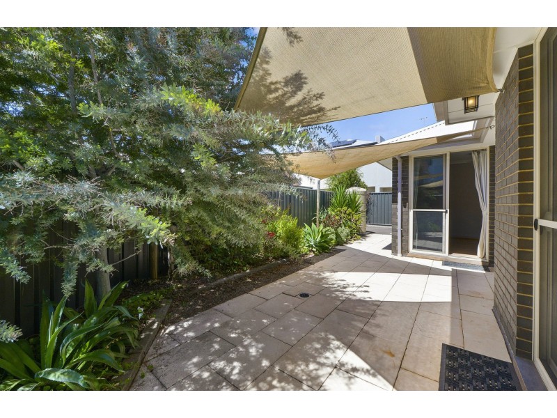 35 Daly St, Kurralta Park SA 5037