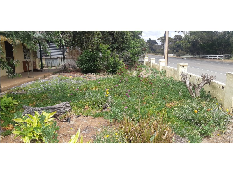 17 Mitchell Avenue, Murray Bridge SA 5253