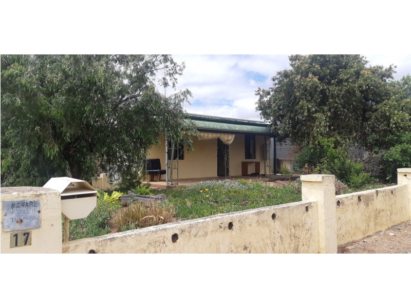 17 Mitchell Avenue, Murray Bridge SA 5253